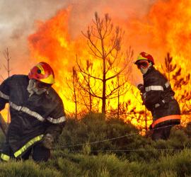 feu de foret