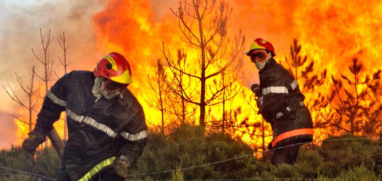 feu de foret